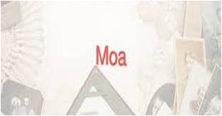 Moa origen y significado 5 Moa origen y significado